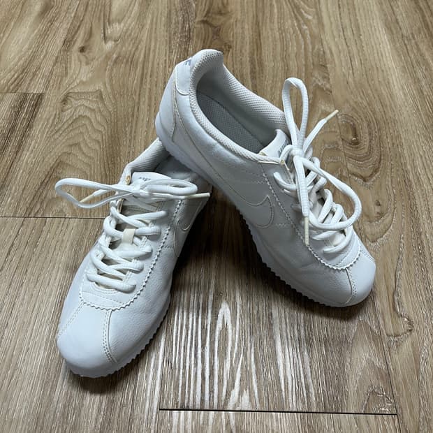 나이키 코르테즈 240