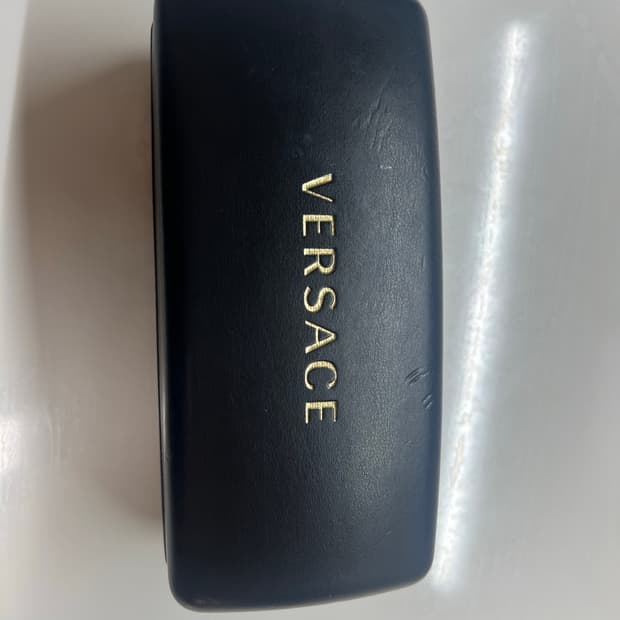 Vessace 4425U 선글라스 (창모 등 착용)