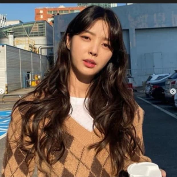 보카바카 소피 아가일 니트 브라운, 퍼플