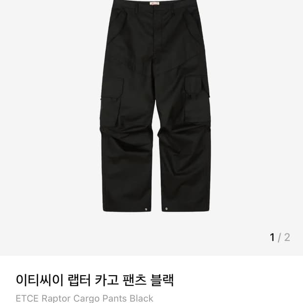 이티씨이 랩터 카고팬츠
