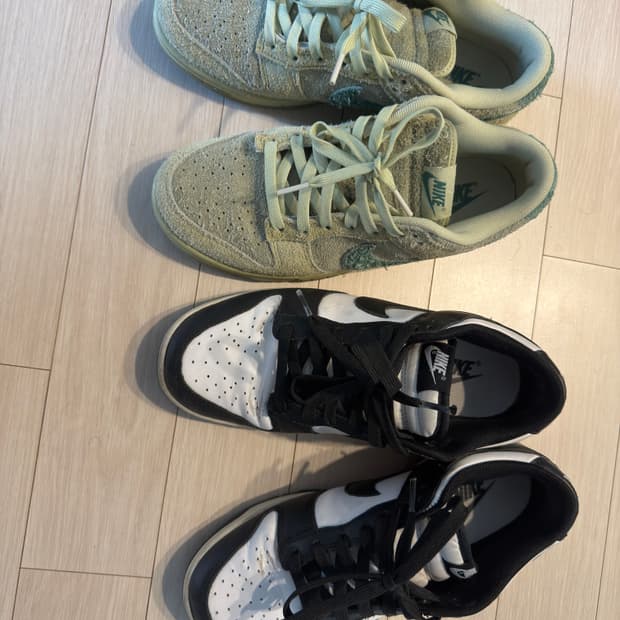 덩크 로우 2종 판매