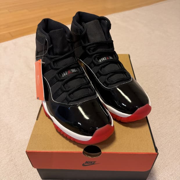 조던11 브레드 270