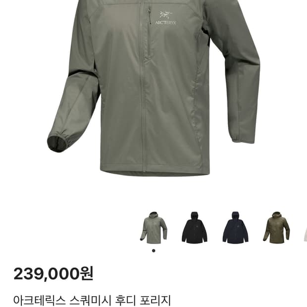 아크테릭스 스쿼미시 포리지 s