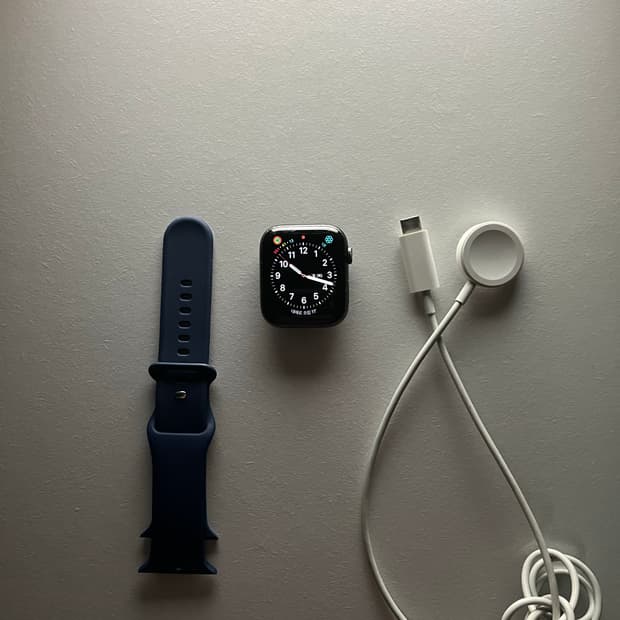 [ 급처 ] 애플워치 se 44mm 스페이스 그레이