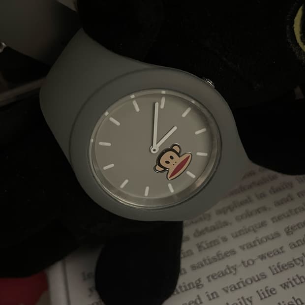 폴프랭크 시계 정품