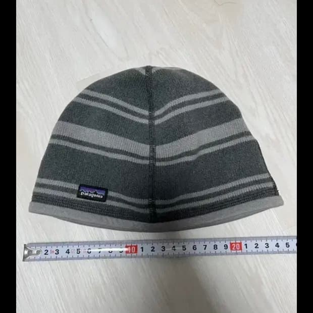 파타고니아 비니