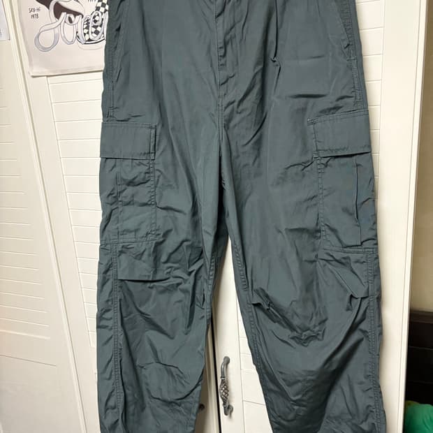 칼하트 cole 카고팬츠 (30)