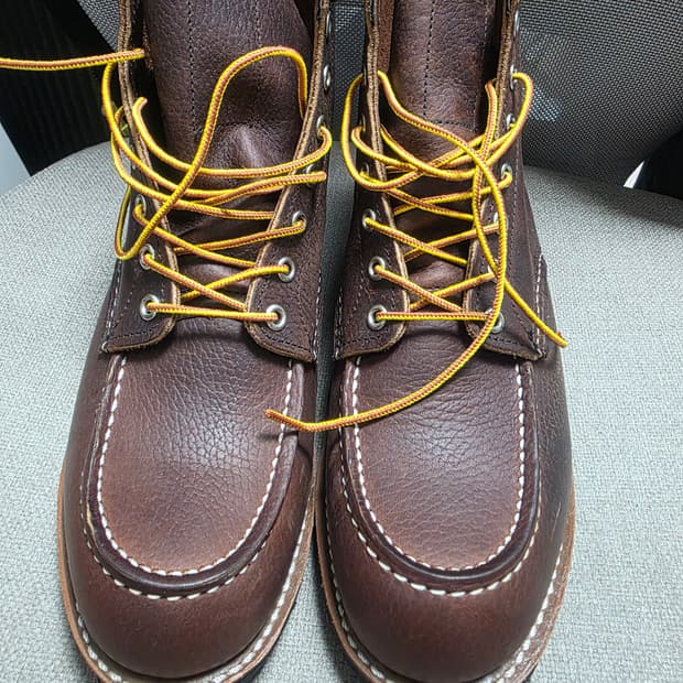 레드윙 8146 270사이즈