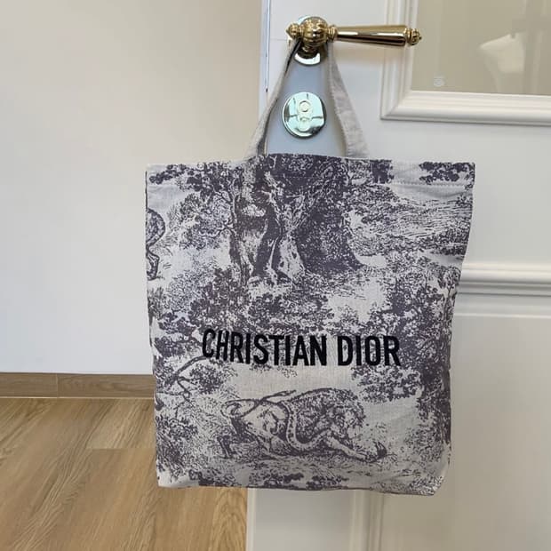 디올 리비에라 캔버스 토트백 그레이