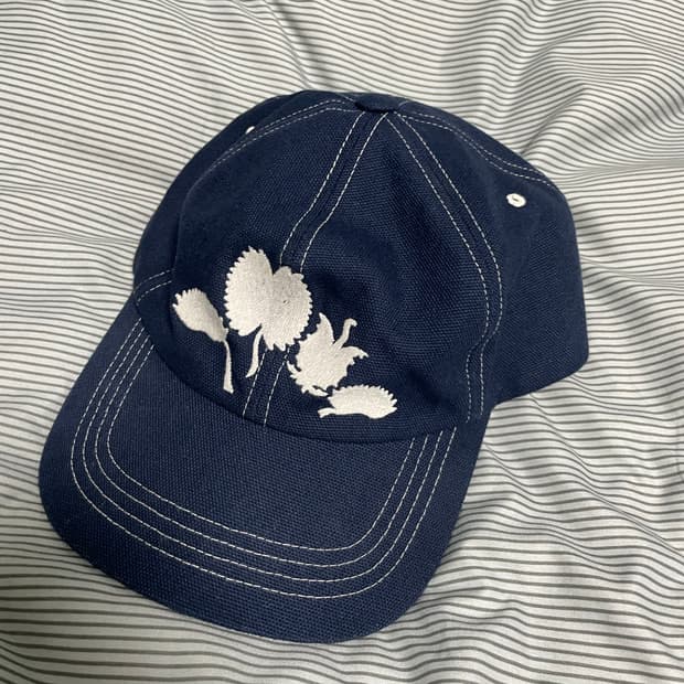 아노니모아 볼캡