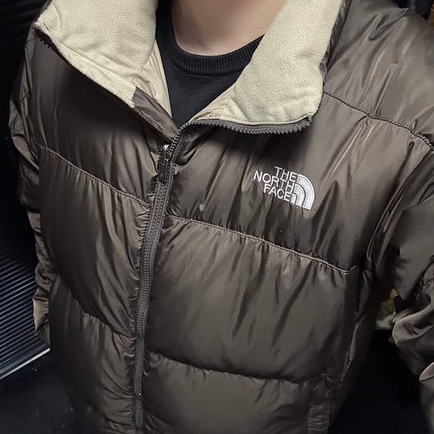 노스페이스 브라운 갈색 베이지 550 거위 구스다운 패딩 눕시 L 100