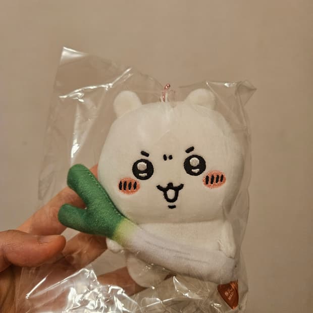 지역한정 대파 치이카와