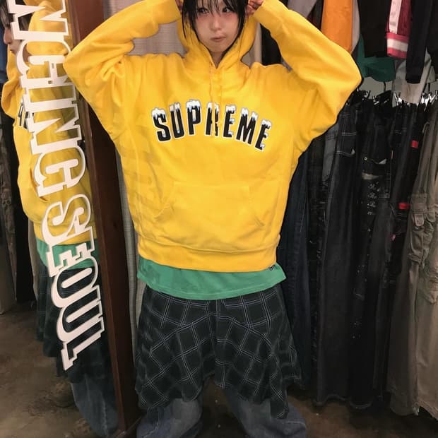 Supreme Icy Arc Hooded Sweatshirts 