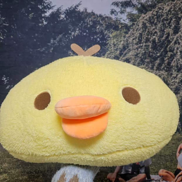 산엑스 리락쿠마 키이로이토리 얼굴 쿠션