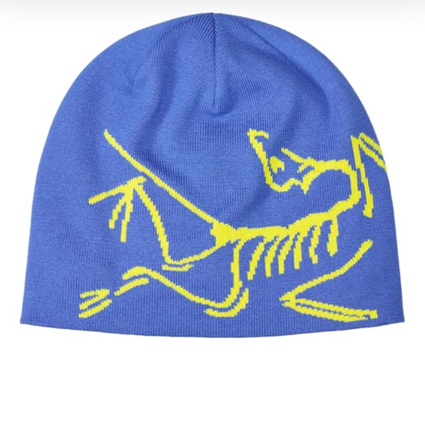 아크테릭스 비니 새상품 (일렉트라 유포리아)