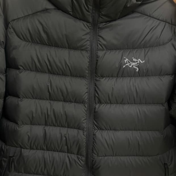 아크테릭스 세륨 블랙L 판매합니다.