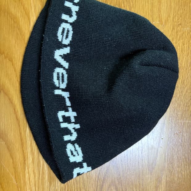 디스이즈네버댓 비니