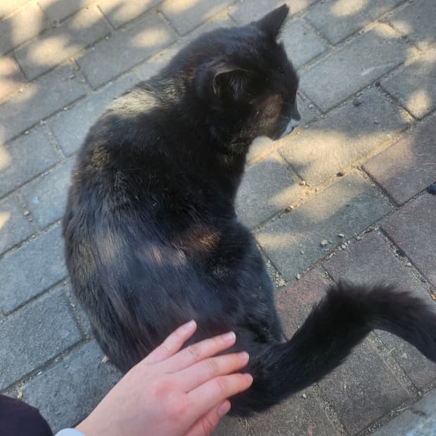 올린 옷들 오늘까지 판매.