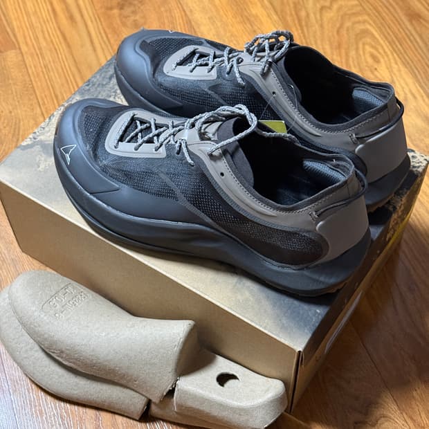 로아 셀라 43 새상품