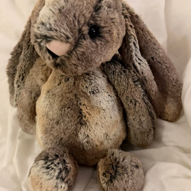 젤리캣 바쉬풀 우드랜드 버니 M 애착인형 한정판