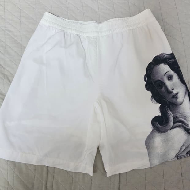 [L] 스투시 비너스 하프팬츠 / 쇼츠