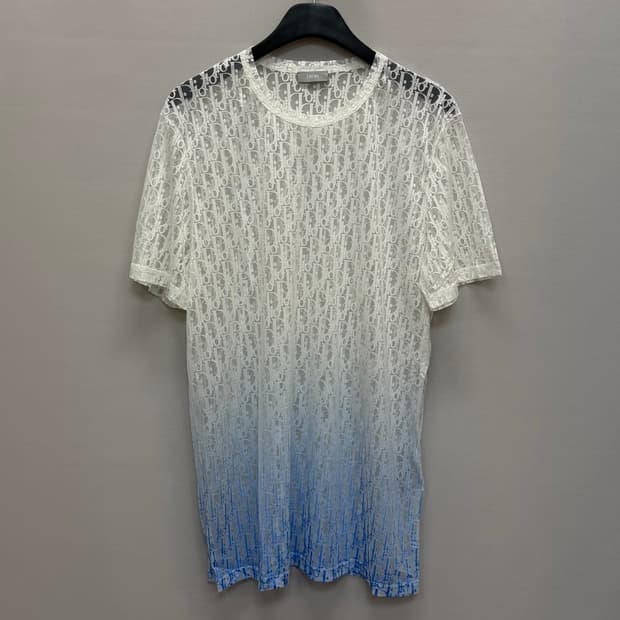 디올 오블리크 그라디언트 시스루 반팔티 ( 105~110 )