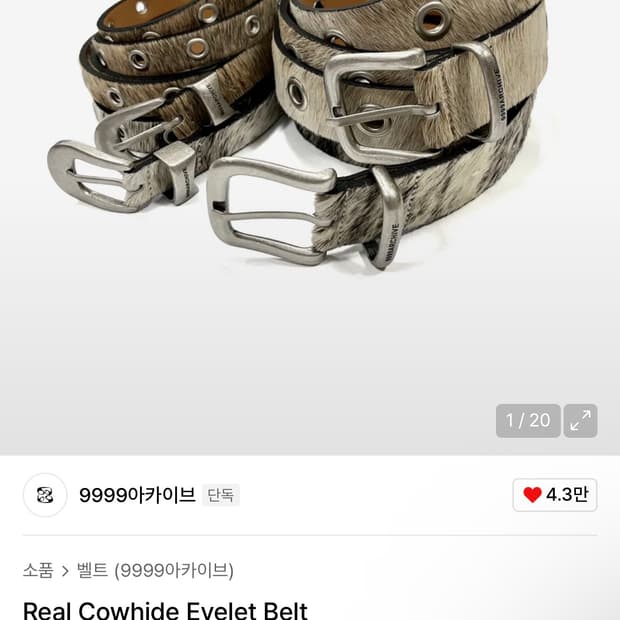 9999아카이브 송치벨트 Lion wide