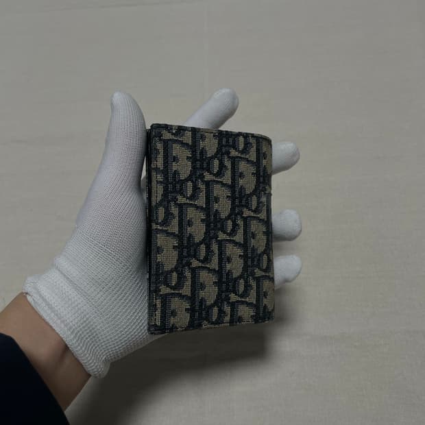 디올 오블리크 자카드 오거나이저 [os] 