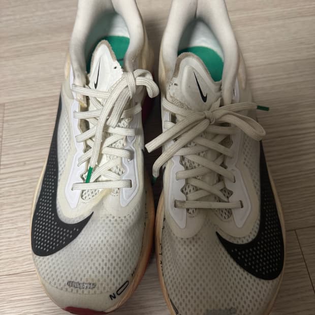 줌플라이6 킵초게