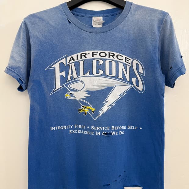 Vintage Air Force Falcons Distressed Tee