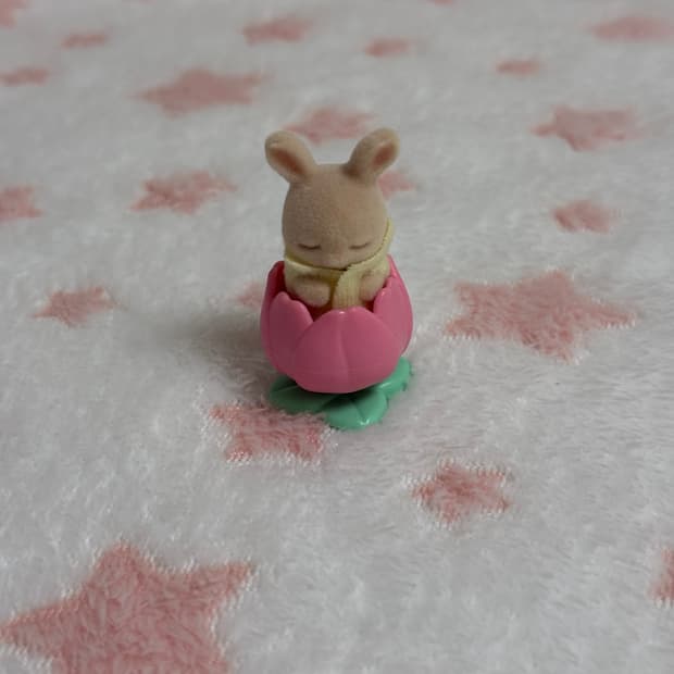 실바니안 슬리핑 토끼