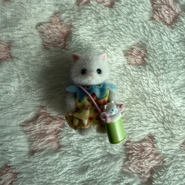 실바니안 고양이