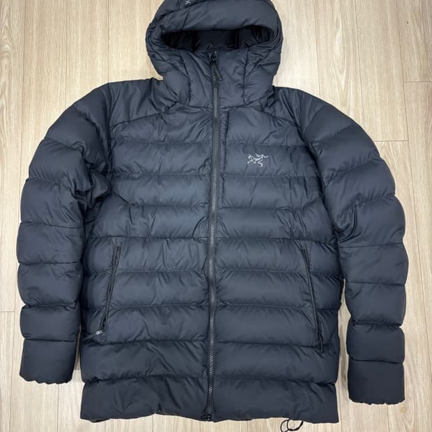 아크테릭스 토륨 후디 L