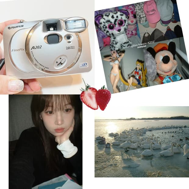 필요한건 손가락뿐 ☝️왕초보디카 후지 파인픽스 a202