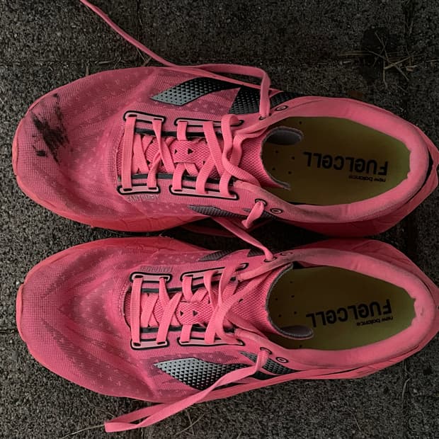 뉴발 퓨어셀 E2 v4 270