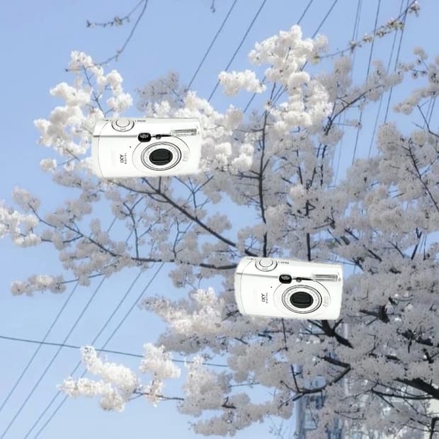 필름색감&토모토모!) Canon IXUS 950 디카 카메라
