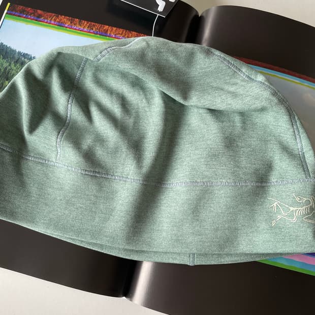 ARCTERYX Motus 아크테릭스 모투스 비니 에니