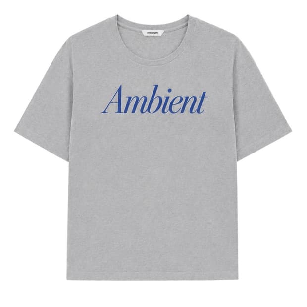 enorum Ambient t- shirt (grey) 2size