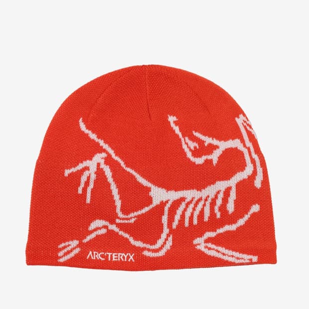 아크테릭스 버드헤드 토크 오렌지