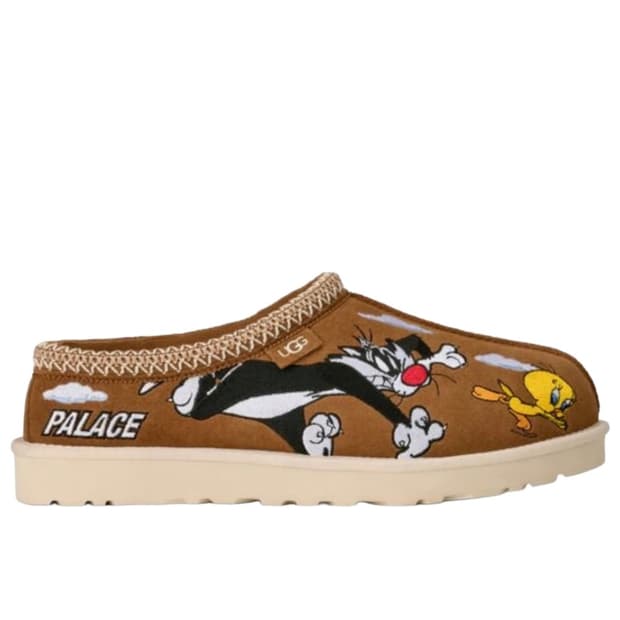 [230]어그 팔라스 툰 타스만 체스트넛