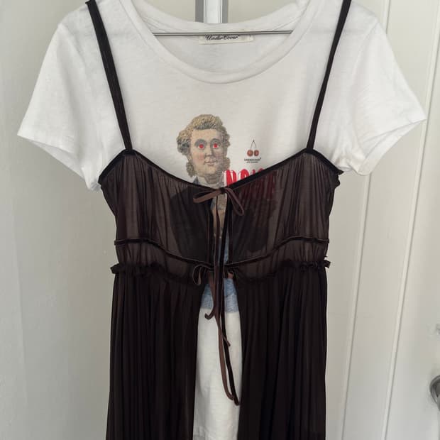 brown sheer dress