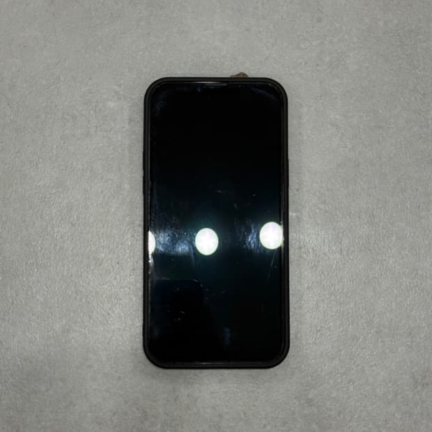 아이폰 13 프로맥스 256GB 그래파이트 자급제 판매