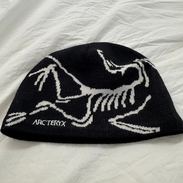 아크테릭스 버드 헤드 토크 오르카