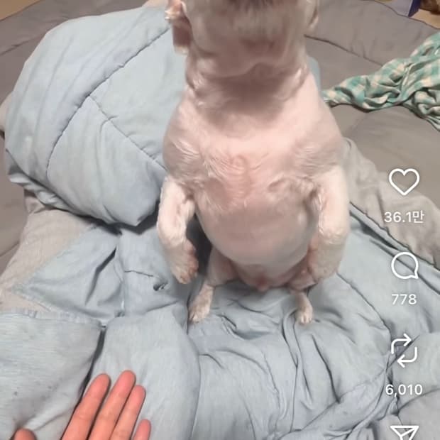 아기야