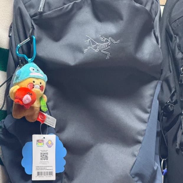 아크테릭스 맨티스 16 그라파이트