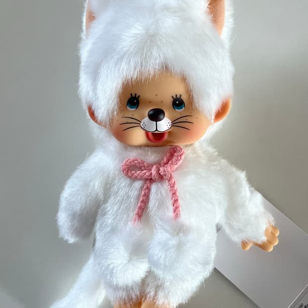 화이트 캣 고양이 몬치치