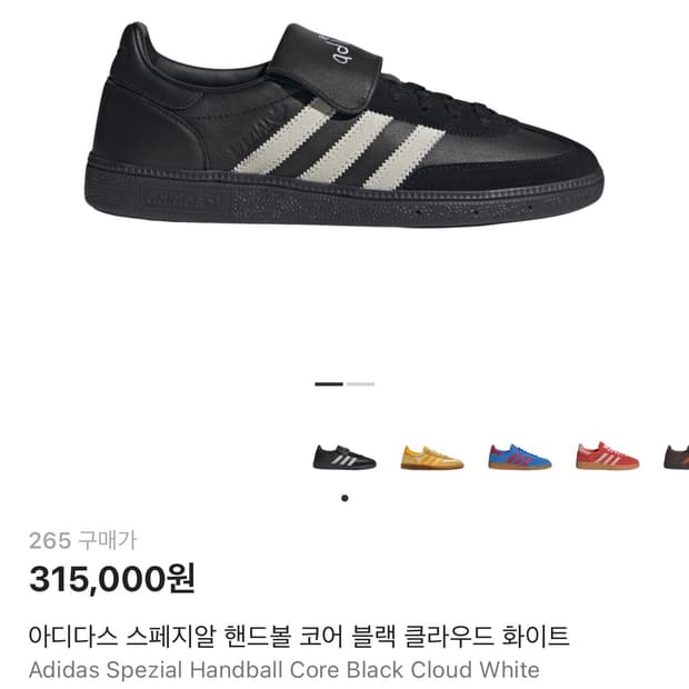 핸드볼 스페지알