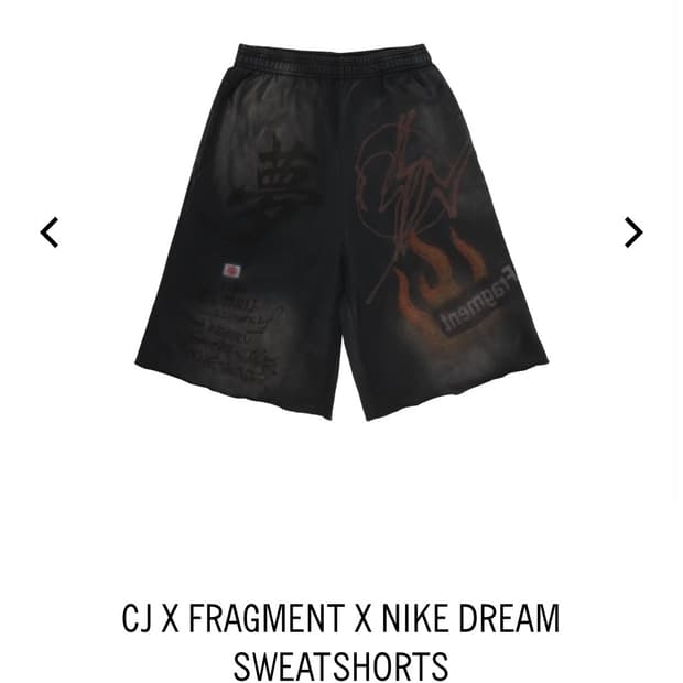 트래비스 스캇 프라그먼트 나이키 반바지