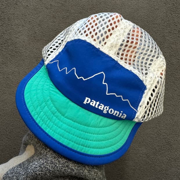 파타고니아 덕빌 캡 처분 