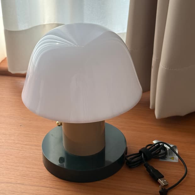 앤트레디션 세타고 nude forest 조명